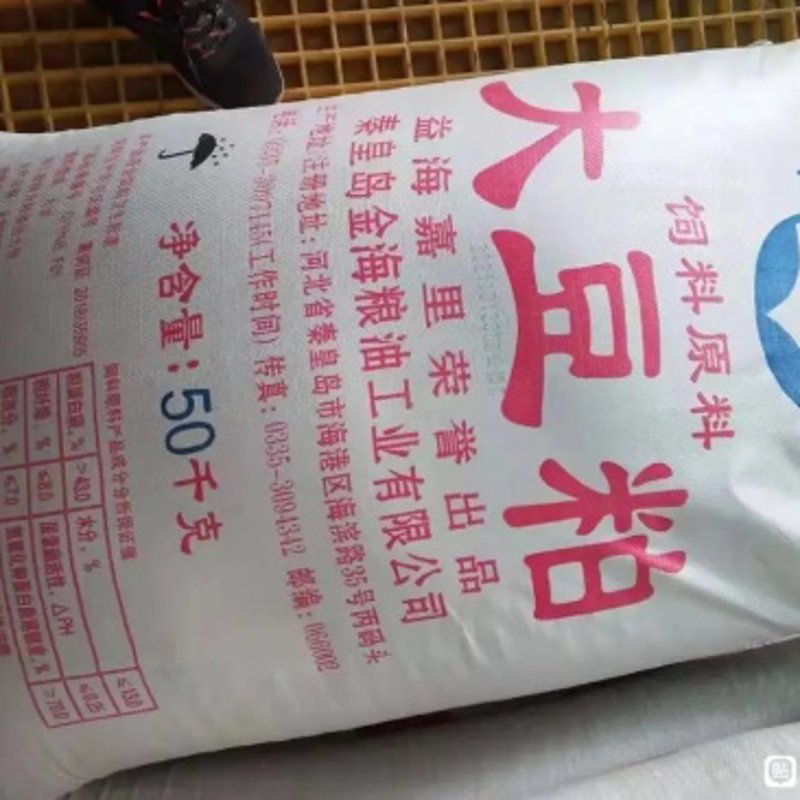 河北粮油批发：把握市场动态，洞察商机